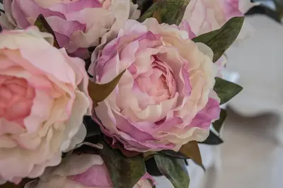 a bouquet of pink and white roses at Apartamento Sueño de la Caleta in Cádiz