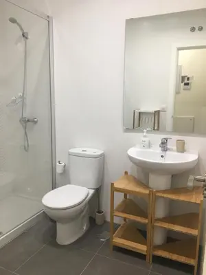 a bathroom with a toilet and a sink and a shower at Apartamento nuevo en casa tipo palacio in Cádiz