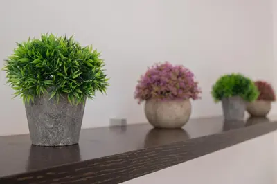 four potted plants sitting on a shelf at Apartamento Malibu Cadiz playa in Cádiz