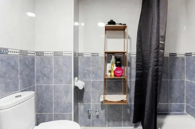 a bathroom with a toilet and a shower at SH El Teatro. Dúplex industrial en el Falla. in Cádiz