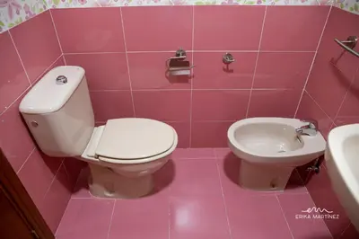 a pink bathroom with a toilet and a sink at Apartamento Pale Cream MRZ Rentals in Jerez de la Frontera