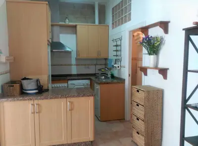 a small kitchen with wooden cabinets and a sink at La casa del dibujante in Cádiz