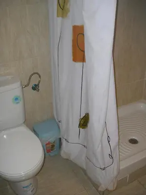 a bathroom with a toilet and a shower curtain at Azul Maritimo in Cádiz