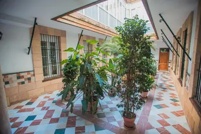 a hallway with potted plants in a building at Atico Cielos 102 in El Puerto de Santa María