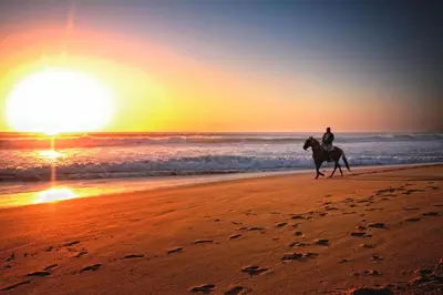 a person riding a horse on the beach at sunset at Apartamento Julieta in Sanlúcar de Barrameda