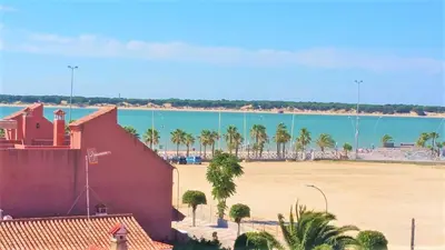 a view of a beach with palm trees and the ocean at Avenida de las Piletas in Sanlúcar de Barrameda
