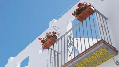 two flowerpots on the railing of a stair case at 7Escalones in Rota
