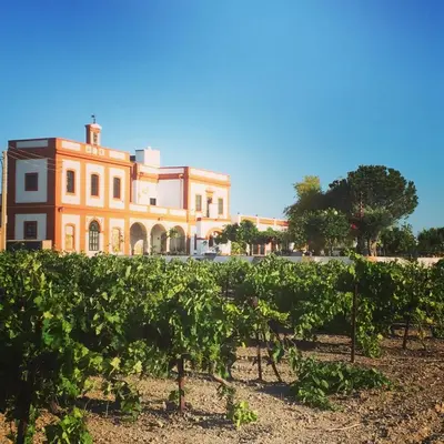 a building with a bunch of vines in front of it at LA BENDITA LOCURA in El Puerto de Santa María
