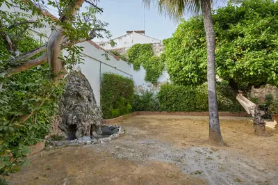 a garden with a palm tree and a building at corazón de jerez edificio de 1861 in Jerez de la Frontera