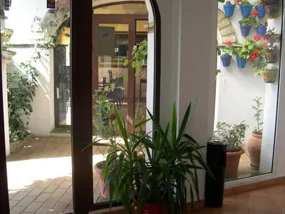 a room with potted plants and a door with a mirror at Hotel Cortijo Los Gallos in Chiclana de la Frontera