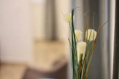 a vase with some flowers in it at Balcones de CANDELARIA by Cadiz4Rentals in Cádiz
