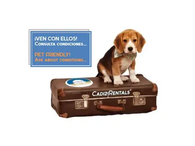 a dog sitting on top of a suitcase at Balcones de CANDELARIA by Cadiz4Rentals in Cádiz