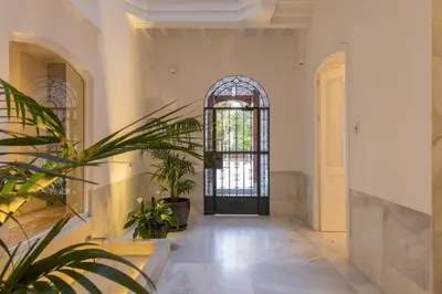 a hallway with a black door and a plant at Candelaria10 in Cádiz