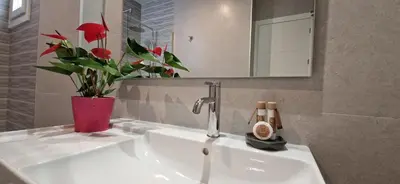 a bathroom sink with a vase with a red flower on it at Apartamentos Arenal in Jerez de la Frontera