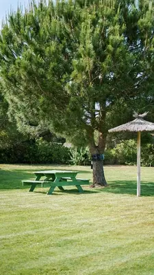 a picnic table next to a tree and a umbrella at Retama Golf Nº 55 by Fontanilla Del Mar Holidays Rentals in Chiclana de la Frontera
