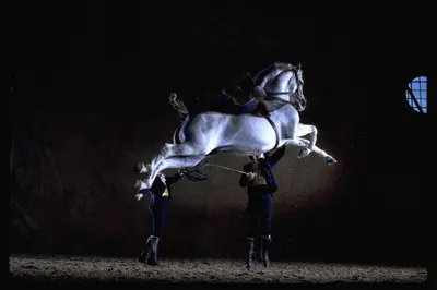 a person is riding a horse on its back at Loft Catedral Jerez in Jerez de la Frontera