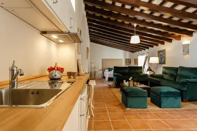 a kitchen with a sink and a living room at Loft Catedral Jerez in Jerez de la Frontera