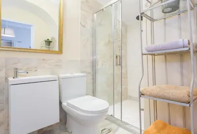 a bathroom with a toilet and a shower at Suite Catedral Jerez in Jerez de la Frontera