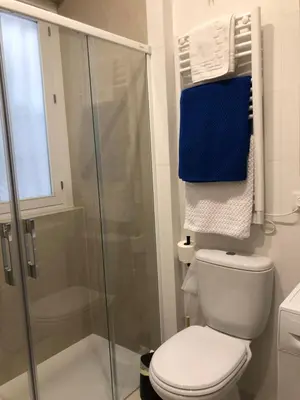 a bathroom with a toilet and a shower with blue towels at Jano PuertaTierra in Cádiz