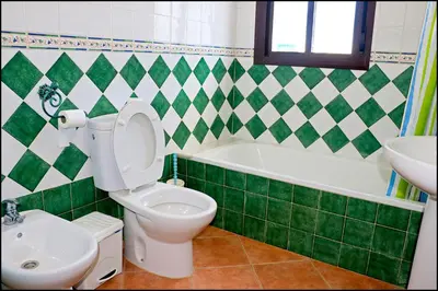 a green and white bathroom with a toilet and a sink at Chalet con piscina privada in Conil de la Frontera