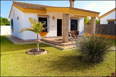 a small house with a palm tree in the yard at Chalet con piscina privada in Conil de la Frontera