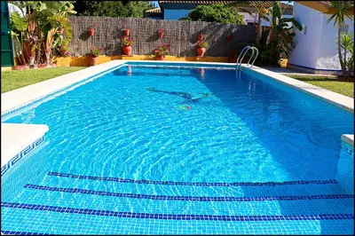 a swimming pool with a dolphin in the water at Chalet con piscina en Roche Viejo in Conil de la Frontera