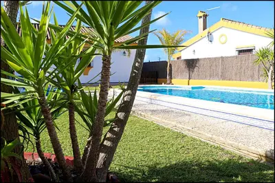 a palm tree next to a swimming pool at Chalet con piscina en Roche Viejo in Conil de la Frontera