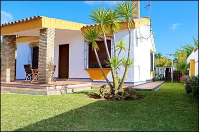 a house with a palm tree in front of it at Chalet con piscina en Roche Viejo in Conil de la Frontera