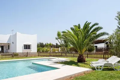 a swimming pool with two chairs and a palm tree at Casa Huerta del Pitorreo in Conil de la Frontera