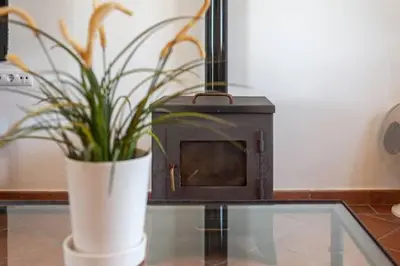 a potted plant sitting on a glass table next to a stove at Casa Huerta del Pitorreo in Conil de la Frontera