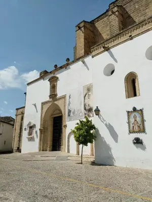 a white building with a tree in front of it at Azafran Jerez apartamentos in Jerez de la Frontera