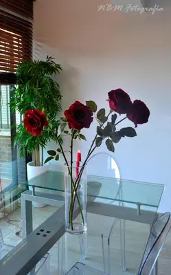 a vase with roses sitting on a glass table at AMAZING FRONTAL BEACH APARTMENT #Traveller's Awards2023 in Cádiz