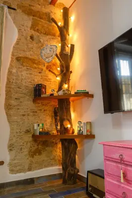 a wall with a tree shelf on a wall at Noah House city center - Historic center in Cádiz