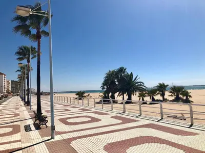 a beach with palm trees and a street light at GATU Verano en la playa con parking, wifi, piscina in El Puerto de Santa María