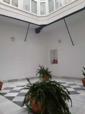 a room with potted plants on a checkered floor at El Rincón del Tío de la Tiza in Cádiz