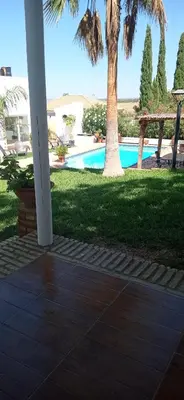 a swimming pool in a yard with a palm tree at La Luciérnaga in Chiclana de la Frontera