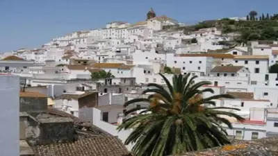 a town with white buildings and a palm tree at Casa GaLuz, entre la Sierra y el Mar in Alcalá de los Gazules