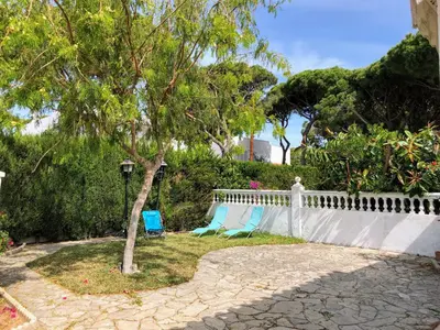 a couple of chairs and a tree in a yard at Chalet La Costa in Chiclana de la Frontera