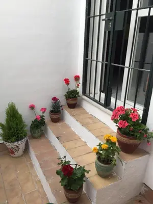 a group of potted flowers sitting on a porch at Apartamento Balneario playa Caleta in Cádiz