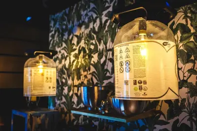 a couple of glass jars on a shelf with plants at Semiloft Romantico Catedral con soleada azotea comunitaria in Jerez de la Frontera