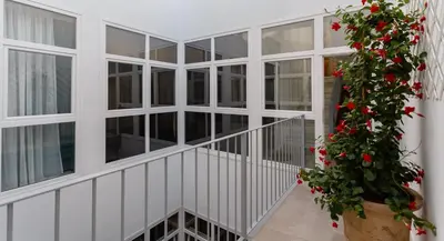 a balcony with a plant with red flowers at Semiloft Romantico Catedral con soleada azotea comunitaria in Jerez de la Frontera