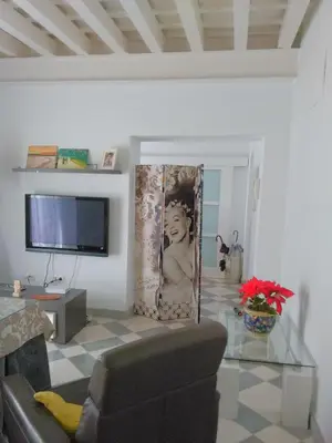 a living room with a couch and a tv at APARTAMENTO APODACA in Cádiz