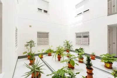 a room filled with lots of potted plants at La Sorpresa del GENOVES by Cadiz4Rentals in Cádiz