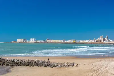 a person walking on a beach with a flock of sheep at La Sorpresa del GENOVES by Cadiz4Rentals in Cádiz