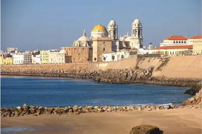 a group of animals standing on the beach near the water at Romántica vista al paseo marítimo de Cádiz in Cádiz