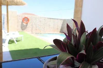 a plant in a pot next to a swimming pool at Chalet carril de los pareja in Conil de la Frontera