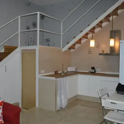 Duplex Daises