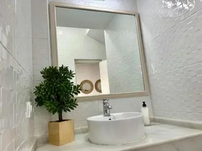 a bathroom sink with a mirror and a potted plant at GATU La Murallita en Puerto Sherry in El Puerto de Santa María