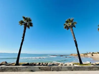 two palm trees on a beach near the ocean at GATU La Murallita en Puerto Sherry in El Puerto de Santa María