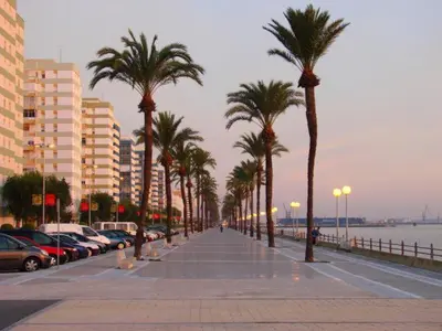 a street with palm trees and a sidewalk with cars at ATICO BAHÍA in Cádiz